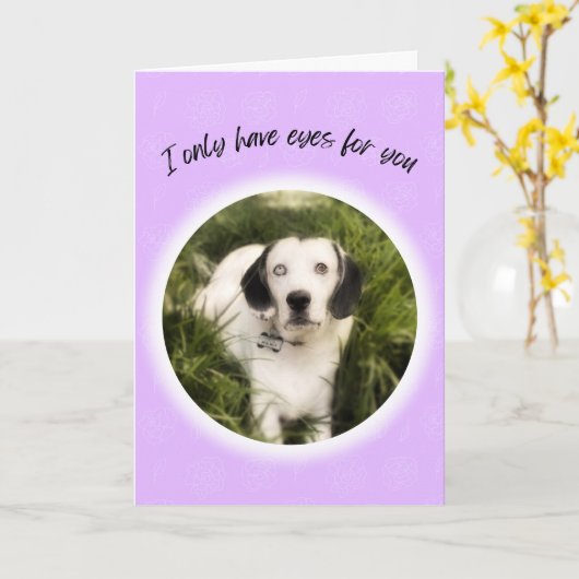 私はあなたのかわいい犬のバレンタインに目しか持っていない カード (黄色い花)