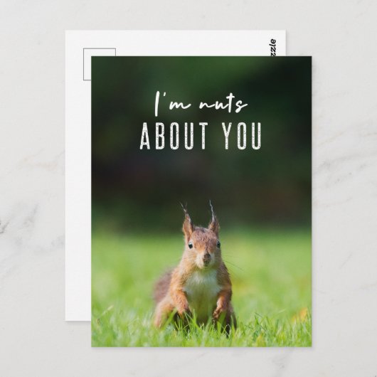 私はあなたのことが大好きだ |リスモダンルふわおもしろいふわ ポストカード (正面/裏面)