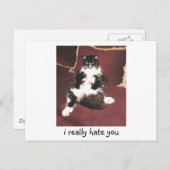 私はあなたのことが本当に嫌いだ ポストカード (正面/裏面)