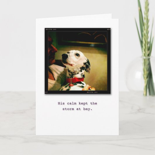 私はあなたのためにここにいます カード (正面)