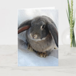 私はあなたのために耳を傾ける カード