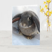 私はあなたのために耳を傾ける カード (黄色い花)