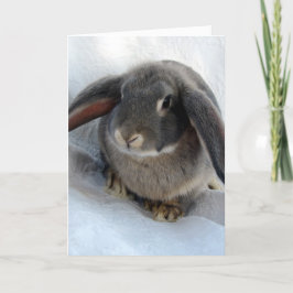 私はあなたのために耳を傾ける カード