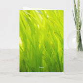 私はあなたのための吸盤:吸盤魚グリーティングカード サンキューカード (裏面)