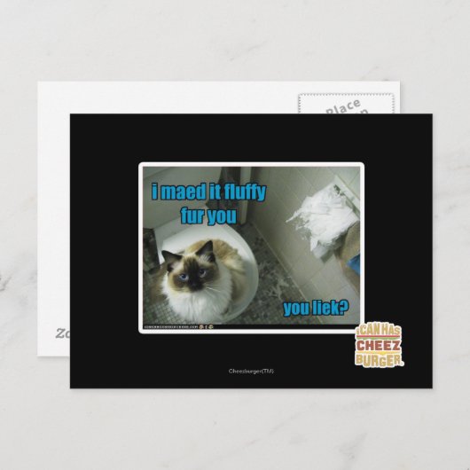 私はあなたのふわふわした毛を作った ポストカード (正面/裏面)