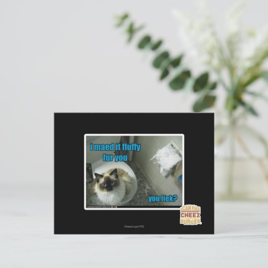 私はあなたのふわふわした毛を作った ポストカード (スタンド正面)