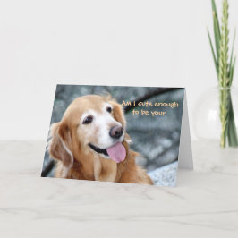 私はあなたのバレンタインになるくらい可愛い？ シーズンカード