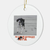 私はあなたの写真と嬉しいスプリンガーカスタマイズです セラミックオーナメント (左)