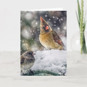 私はあなたの私の目を持っています シーズンカード (正面)