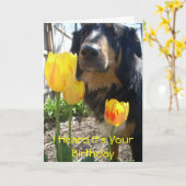 私はあなたの誕生日-おもしろカード カード (黄色い花)