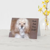 私はあなたの顔を舐めたい カード (黄色い花)