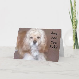 私はあなたの顔を舐めたい カード