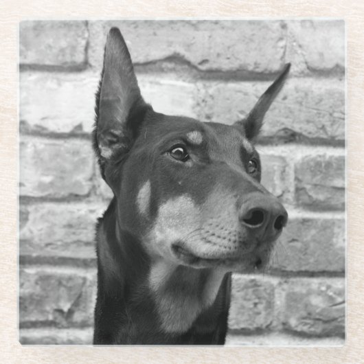 私はあなたの顔を舐めるように ガラスコースター (正面)