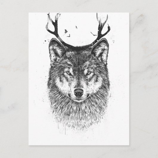 私はあなたの鹿だ ポストカード (正面)