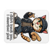 私はあなたを侮辱しなかった、私はあなたを描写。 マグネット (横)