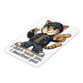 私はあなたを侮辱しなかった、私はあなたを描写。 マグネット (左側)