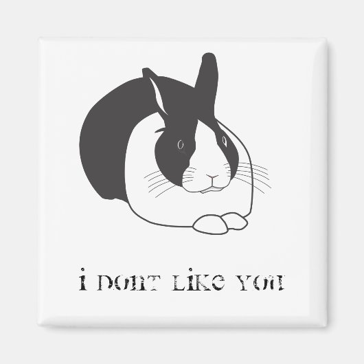 私はあなたを好きではない マグネット (正面)