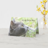 私はあなたを尊敬しています カード (黄色い花)