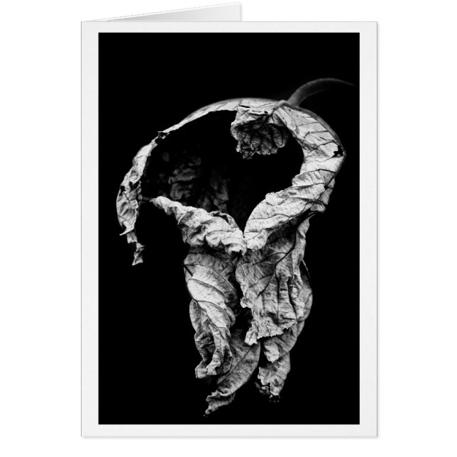 私はあなたを待っていた (正面)