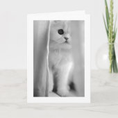 私はあなたを愛しているすべての行事カード カード (正面)