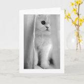 私はあなたを愛しているすべての行事カード カード (黄色い花)