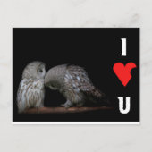 私はあなたを愛しているポストカード ポストカード (正面)