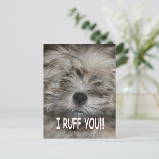 私はあなたを愛している私はシーズー(犬)子犬パピーあなたをオフにする ポストカード (スタンド正面)