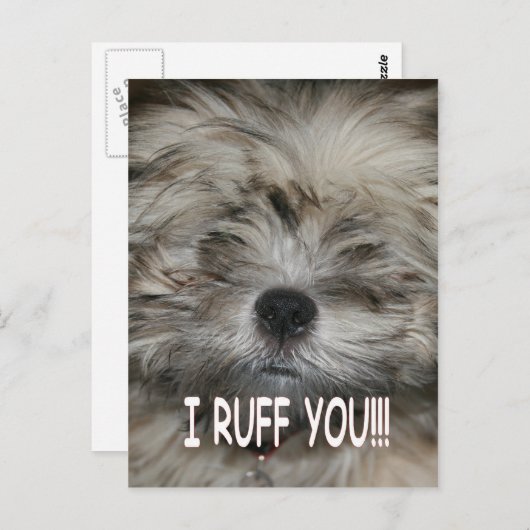 私はあなたを愛している私はシーズー(犬)子犬パピーあなたをオフにする ポストカード (正面/裏面)