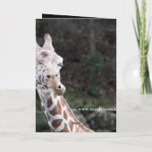 私はあなたを愛している シーズンカード (裏面)