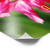 私はあなたを愛している フォトプリント            (角)