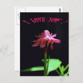 私はあなたを愛している ポストカード (正面/裏面)