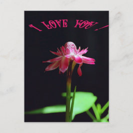 私はあなたを愛している ポストカード
