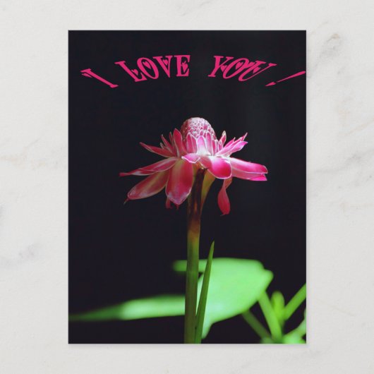 私はあなたを愛している ポストカード (正面)