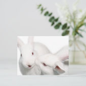 私はあなたを愛している ポストカード (スタンド正面)