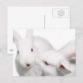 私はあなたを愛している ポストカード (正面/裏面)