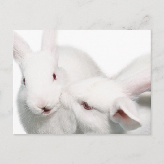 私はあなたを愛している ポストカード (正面)