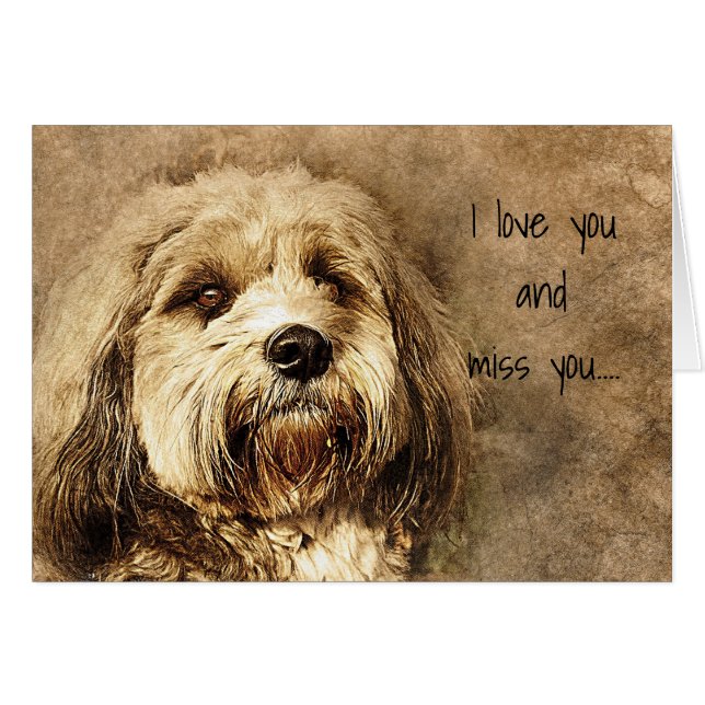 私はあなたを愛し恋しく思て悲しい犬 (正面横)