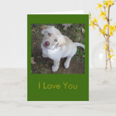 私はあなたを愛し – あなたは私の人間お気に入りの カード (黄色い花)