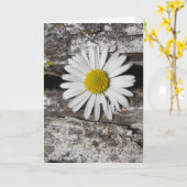 私はあなたを愛し、デイジーと古い木材の写真 カード (黄色い花)