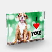 私はあなたを愛し、子犬の写真、アクリルのフォトブロック フォトブロック (左)