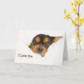 私はあなたを愛する王チャールズスパニエル犬外を覗く カード (黄色い花)