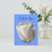 私はあなたを愛する白いチューリップ花写真はがき ポストカード (スタンド正面)