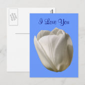 私はあなたを愛する白いチューリップ花写真はがき ポストカード (正面/裏面)