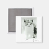 私はあなたを愛するKitten Magnet マグネット (正面/裏面)