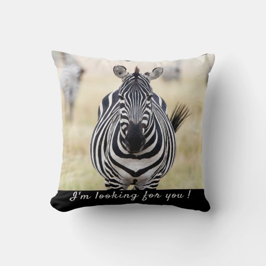 私はあなたを探しているゼブラの写真と文字 クッション (正面)