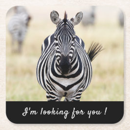 私はあなたを探しているゼブラの写真と文字 スクエアペーパーコースター