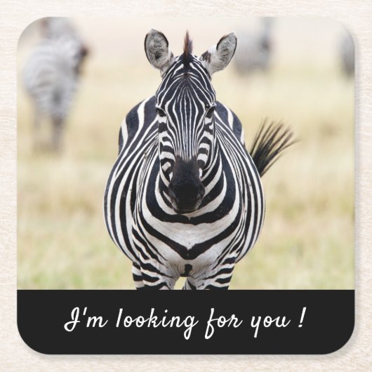 私はあなたを探しているゼブラの写真と文字 スクエアペーパーコースター (正面)