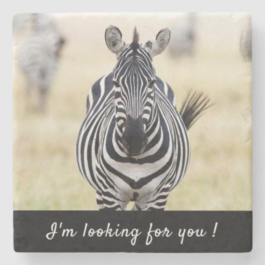 私はあなたを探しているゼブラの写真と文字 ストーンコースター (正面)