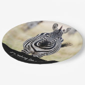 私はあなたを探しているゼブラの写真と文字 ペーパープレート (アングル)