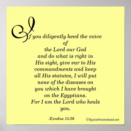 私はあなたを癒す主である ポスター (正面)